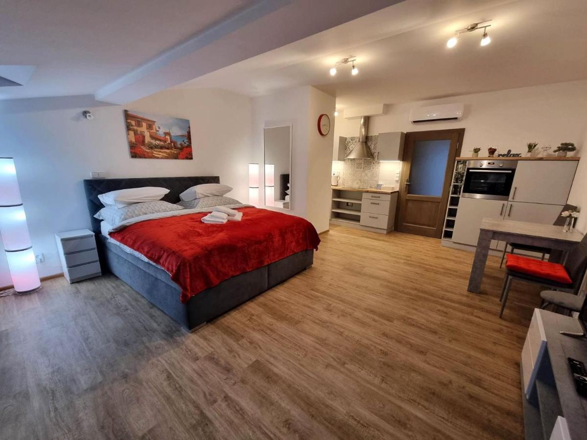 Podkrovni Studio Na Velkem Namesti S Wi-Fi Zdarma Hradec Kralove Exterior photo